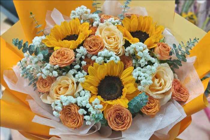 ���ڱ���������